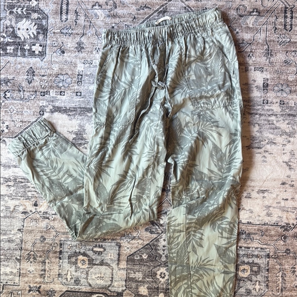 C&C California Green Cargo Pants with Elastic Waistband